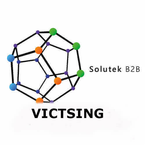 VicTsing